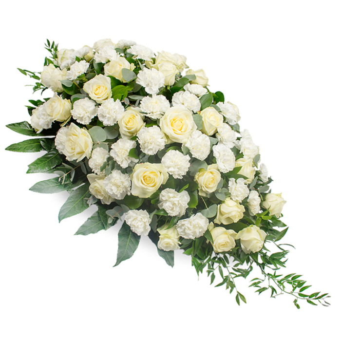 A refined and dignified white funeral floral spray is displayed on a stark white background, oriented from a lush, full top left to a delicately tapering bottom right. The design forms a crescent or teardrop shape, its upper section densely layered with white and cream roses that are at varying stages of bloom. Some roses are just beginning to open, their outer petals hugging the centres, while others are fully expanded, revealing complex spirals and soft, velvety faces. Nestled between these larger blooms are numerous white carnations, their frilly, feathered petals introducing movement and gentle volume throughout the arrangement. The interplay of rose smoothness and carnation ruffles creates a rich, tactile surface that feels both luxurious and soothing. Surrounding the flowers is an artful mix of greenery. Cool-toned eucalyptus leaves-muted, silvery, and slightly rounded-thread between the roses, tempering the brightness of the whites. Deeper green foliage, including slender, arching ruscus, emerges from the base and streams down towards the right-hand point, reinforcing the elongated, flowing contour of the spray. The image suggests calm, even light, casting minimal shadows so the focus remains entirely on the flowers' delicate forms. This classic sympathy tribute, reminiscent of the floral pieces often seen at services around Queensbury's churches and local crematoriums, embodies purity, remembrance, and quiet honour. It could be imagined resting atop a casket or placed near a condolence book, offering a soft visual embrace to grieving relatives and friends. Every carefully chosen bloom speaks of respect and thoughtfulness, the kind of design a skilled local florist in Queensbury would prepare when asked to create a graceful farewell.