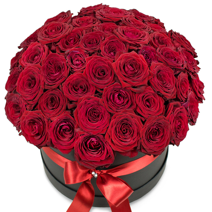Overflowing with elegance and passion, this grand floral centerpiece features dozens of sumptuous red roses, meticulously curated for their richness and freshness by Queensbury's expert florists. The blooms are arranged in a flawless, rounded dome, their deep crimson petals radiating vibrant colour and exquisite texture-the outer layers soft and lush, the innermost centers tightly wound. Each rose sits closely nestled, creating a continuous landscape of velvety petals that rise above the rim of a contemporary matte black hat box. A wide, lustrous red satin ribbon wraps smoothly around the box's edge, culminating in a perfectly tied bow at the front, its center graced by a sparkling crystal brooch that glints softly in the light. The entire arrangement is staged on a pristine, bright white backdrop, highlighting the dramatic interplay of colour, texture, and form. Imbued with the classic symbolism of passionate love and sophistication, this arrangement is ideal for expressing deep affection-be it a Valentine's Day surprise delivered to a loved one's door near Queensbury Circle or a special anniversary gift from Flower Delivery Queensbury. The visual opulence is matched only by the sense of occasion and devotion this bouquet inspires, making it a luxurious, memorable choice for any grand gesture.