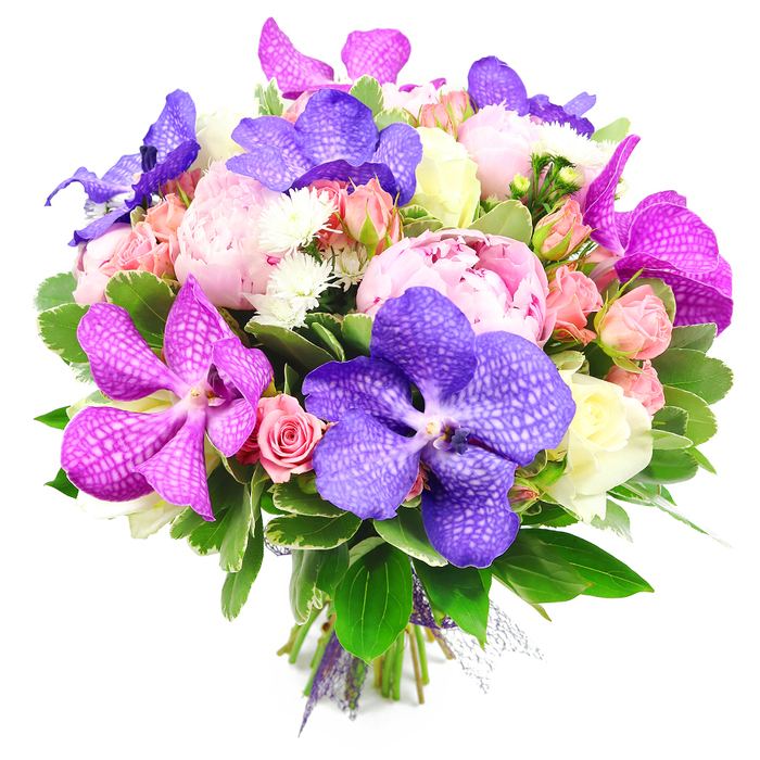 Captured in clear, even light against a bright white background, this luxurious bouquet appears as if it has just been finished by a local Queensbury florist and set down for a photograph before delivery. Large, fully open pink peonies dominate the arrangement, their countless silky petals overlapping in generous ruffles that create an impression of softness and depth. Interwoven among them are dramatic Vanda orchids in rich shades of indigo purple and intense magenta, each petal broad and almost leathery, covered in intricate, lace-like veining that lends the bouquet an exotic edge. Scattered throughout, clusters of petite spray roses in gentle blush pink and peach add a charming, romantic sweetness, while a few standard roses in creamy white and very pale yellow bring a refined, classic note. Some roses are seen as tight buds with smooth, rounded shapes; others are partially unfurled, revealing spiralled centres that nestle comfortably alongside the more flamboyant peonies and orchids. Fine-textured white filler flowers, likely spray chrysanthemums or asters, punctuate the design with tiny star-like blooms, providing lightness and extra dimension between the larger heads. Surrounding all of this, a generous halo of glossy green foliage creates a strong structural base, the leaves overlapping in layers that feel both natural and carefully considered. At the bottom edge, where the image just catches the stems, they are gathered into a neat, parallel bundle and tied with a slim purple ribbon and a whisper of sheer mesh, hinting at the professional, hand-tied craftsmanship. The palette of pinks, purples, peaches, whites, and fresh greens radiates a feeling of joyful luxury, perfect for same-day delivery across Queensbury, whether to a stylish apartment off Beverley Drive or a family home near Queensbury Park.