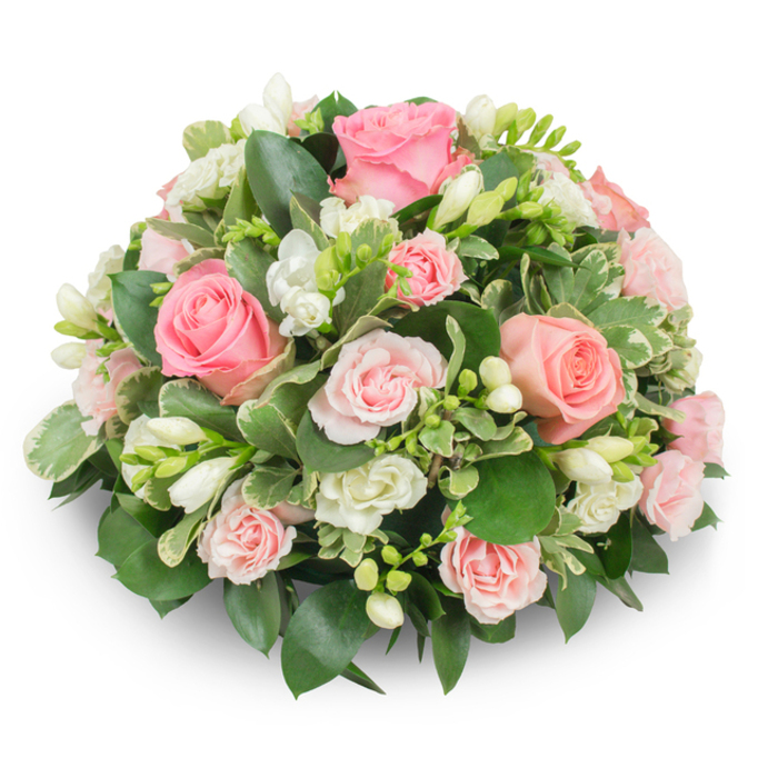 An expertly composed, domed sympathy arrangement, this piece is densely arranged with soft pink roses and immaculate white freesia, photographed on a pure white background to highlight its gentle palette. The focal roses range from fully opened, luxuriant blooms with layered, velvety petals in blush and coral-tinged pinks to clusters of petite spray roses that add intimate detail and depth. Interspersed throughout are crisp white freesia stems-some in full bell-shaped bloom that reveal tiny yellow stamens, others as slender buds that promise gradual unfurling-contributing an upright, textured rhythm to the otherwise rounded silhouette. Lush green foliage underpins the design: broad, glossy leaves (evocative of ruscus or salal) create a solid, verdant base, while variegated leaves with cream edges-likely pittosporum or euonymus-introduce light and contrast, catching reflections of soft daylight. The density hides stems entirely, giving a formal, cushion-like appearance that feels both refined and comforting. The arrangement's subtle scent is floral and slightly sweet from the freesias, balanced by the classic rose aroma, and the soft natural light brings out petal translucence and gentle shadows. This style is often chosen for memorial services, bedside tributes, or a dignified funeral display; it also suits quiet celebrations where tenderness is required. Prepared by a florist serving the Queensbury area and surrounding neighbourhoods, including deliveries across Queensbury's local streets and close to the tube, this bouquet reads as a thoughtful, regionally aware offering crafted to honour memory with quiet grace. Flower Delivery Queensbury prepares similar pieces with the same attention to proportion and sentiment.