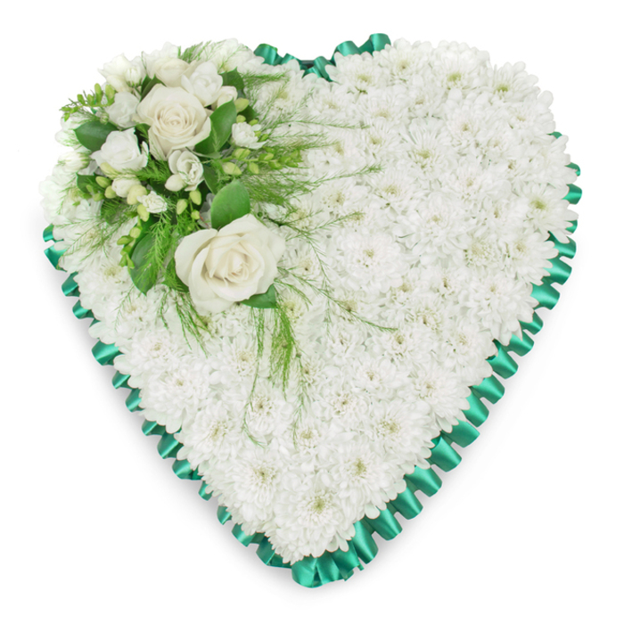 The image presents a refined funeral heart tribute, its shape clearly defined by a surrounding collar of emerald-green satin ribbon, carefully pleated to form a decorative, scalloped edge. Inside this ribbon frame, the entire heart is carpeted with small white chrysanthemums, each bloom closely nestled against the next to create a seamless, textured surface reminiscent of freshly fallen snow. The flowers have a soft, cushiony look that suggests tenderness and calm, making the heart feel both substantial and gentle. Toward the upper left curve, a focal spray adds contrast and depth: two prominent white roses, fully open and perfectly formed, sit at the centre of this cluster. Their petals, arranged in tight layers, give a sense of elegance and quiet devotion. Around the roses, smaller white blooms-likely freesias or similarly delicate flowers-intermingle with buds that are still partially closed, hinting at life continuing even in moments of loss. A generous selection of foliage provides a rich green backdrop: broad, glossy leaves offer structure, while finer, feathery fronds soften the edges and trail lightly over the chrysanthemum base. The heart is photographed against a simple white background, eliminating distractions so the interplay of whites and greens becomes the focus. This kind of floral tribute would be selected by families in Queensbury who want a symbolic expression of love and remembrance for a funeral in a local church or crematorium chapel, its quiet beauty conveying what words sometimes cannot.