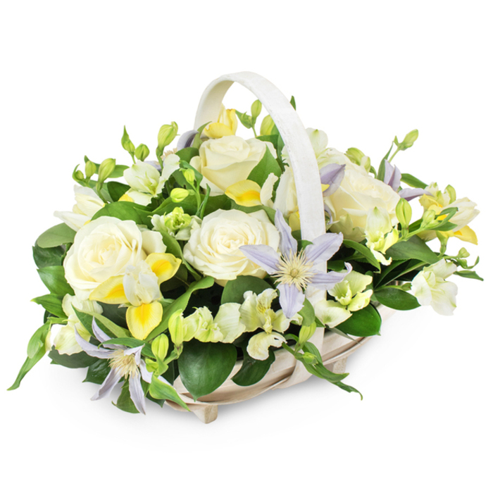 A tranquil funeral flower arrangement sits nestled in a pale woven basket, its handle gently arcing over a bed of soft blooms, all set against a white studio background that heightens the sense of peace. The design is rounded and full, as if the flowers have been coaxed into a gentle embrace. Large, creamy white roses, fully open and luxuriously petalled, form the main focus, their serene faces turned slightly upward. Between them drift clusters of white and soft butter-yellow, freesia-style blossoms, some open with delicate, flared petals and others still held in elongated buds, suggesting a quiet unfolding over time. Scattered through the composition are distinctive star-shaped clematis flowers in pale lavender or muted periwinkle blue, each with a bright yellow-green centre, bringing a hint of sky-like colour to the otherwise neutral palette. The blooms are supported by an abundance of rich, dark green foliage, with glossy broad leaves at the base and more slender, arching stems that weave through the flowers, adding depth and a natural, garden-like feel reminiscent of private back gardens around Queensbury. The wicker basket itself, in light beige or white, has a neatly woven texture that feels traditional and comforting, like something chosen with care by a family gathering to say goodbye. Overall, the arrangement gives an impression of tender remembrance and gentle consolation, perfectly suited for funeral services, crematorium chapels, or as a condolence delivery to homes near Queensbury Circle, where it can rest quietly and offer a moment of calm reflection.