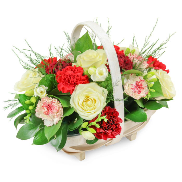 Set starkly against a pristine white background, this funeral flower basket radiates a gentle, composed beauty, the kind of tribute you might choose for a Queensbury farewell where words feel hard to find. The basket is crafted from pale, natural wood, its oval form supported by small, neat feet that lift it slightly from the surface. An elegant, off-white handle arches over the top, framing the flowers without overshadowing them and lending an understated, almost rustic grace. Within this frame, the arrangement swells into a rounded dome of blooms, dense yet thoughtfully arranged so each stem has space to breathe. Creamy white roses, fully open and velvety, are placed prominently, their classic spirals symbolising reverence and peaceful rest. Around them cluster deep red carnations, their rich, ruffled petals bringing intensity and heartfelt devotion, a strong contrast that nonetheless feels harmonious. Scattered between these are softer carnations in pale pink and white, sometimes speckled or edged with red, introducing a gentle transition between the bold and the serene. Threading through the main flowers are delicate white blossoms suggesting freesias, their slender buds and bell-shaped blooms adding a sense of fragility and fleeting time. A lush underlayer of deep green foliage, perhaps ruscus or salal, provides structure, while fine, feathery sprigs of fern spill lightly over the edges, giving movement and airiness. The overall impression is one of quiet abundance and respect, suitable for resting beside a casket at a Queensbury church, placing at the crematorium chapel, or delivering to a grieving family as a comforting reminder of shared love and remembrance.