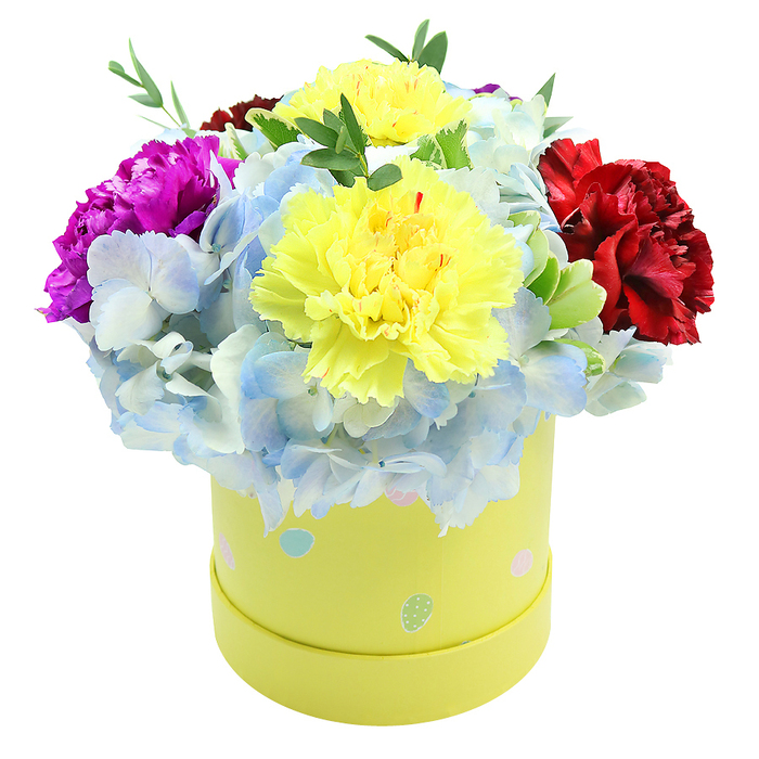 Seen from a gentle top-down angle against a clean white backdrop, this lush mixed arrangement is housed in a smooth round paperboard gift box dyed a soft lemon-yellow and sprinkled with delicate pastel polka-dots. The composition is deliberately domed and abundant: two large, fluffy yellow carnations anchor the centre with bright, ruffled petals that reflect a warm, soft light; their cheerful colour is at once bold and tender. Encircling them are clouds of pale periwinkle hydrangea, the tiny clustered florets creating a plush, textured mass that cools the overall palette and lends a dreamy softness. On the left, a saturated magenta carnation adds theatrical contrast, its layers of petals folding into dramatic depth, while a luxurious burgundy-red carnation on the right provides a rich counterpoint. Thin, leafy green sprigs are woven through the blooms, supplying subtle structure, fresh scent and visual relief. The dotted box, with its tiny white-speckled accents, gives the arrangement a playful, celebratory character-ideal for springtime gifts, Easter tables, or as a pick-me-up delivered to a local home near Queensbury station or to neighbours in Kingsbury and Wembley. Lit by gentle studio lighting that brings out the hydrangeas' pale veins and the carnations' ruffled edges, the bouquet reads as a premium, carefully curated present: compact, fragrant and perfectly balanced for small celebrations or to brighten someone's day in this northwest London pocket.