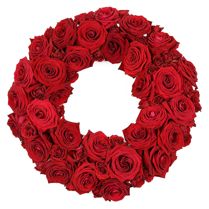 A vibrant, circular wreath of fresh deep red roses sits as if suspended in a moment of quiet celebration, photographed against a stark white background. The arrangement is densely packed, with rose heads in varying stages of bloom-some wide open to reveal velvet spirals, others still in tight, hopeful buds-that the surface reads as a single, lush crimson tapestry. The petals catch light in soft, satin sheen, revealing their delicate folds and the natural geometry of each flower. The wreath's circumference is perfectly even, each bloom pressed close to its neighbor to create a plush, continuous ring with a hollow center that invites the eye to drift inward. The composition conveys both intensity and tenderness-the language of love, memory, and reverence that has long guided floral design. In Queensbury, this classic arrangement anchors ceremonies, memorials, or intimate home celebrations with a sense of refined elegance. Our local team carefully sources the most vibrant roses, trims for symmetry, and positions each bloom to achieve the sense of balance you see here. It is briefed for easy delivery across Queensbury-near Fryent Country Park and the community markets around The Broadway-so that a single telephone call or online order can bring this luxurious crimson halo to your door, fresh and ready to inspire. Delivered with care by our Queensbury team, each order includes fresh stems, protective wrapping, and a note to convey your sentiment. For weddings, anniversaries, or memorials, this wreath brings a dignified, timeless ambiance to any setting in the local community.