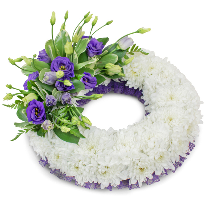 A classic circular sympathy wreath, presented on a stark white background with a soft, diffused shadow that emphasizes its rounded profile and meticulous construction. The main field is composed entirely of immaculate white cushion chrysanthemums-countless small, ruffled heads arranged so tightly they form a continuous, plush ring conveying peace and reverence. Tucked just beneath the mass of white is a slender band of deep purple mesh or lace visible at the wreath's inner and outer rims; this subtle trim lends a composed, regal contrast and ties visually to the accent cluster. Placed to the upper-left quadrant, an artful accent spray of purple Eustoma (Lisianthus) provides the wreath's emotional focal point: vivid, multi-tonal blooms from deep violet to soft lavender, interspersed with delicate buds that suggest life and transition. Supporting foliage-including variegated broad leaves and fine, fern-like greenery-adds depth, cool green tones, and gentle movement against the structured white base. The texture ranges from the chrysanthemums' soft, cushiony surface to the velvety lisianthus petals and the crisp, slightly crinkled edge of the purple mesh, all subtly captured by the studio lighting. This arrangement speaks in a quiet register, offering consolation and dignity for a funeral service, wake, or graveside tribute. Frequently chosen by families in Queensbury and surrounding neighbourhoods for its understated symbolism, this wreath is appropriate for chapels and community services close to Queensbury tube station and local funeral directors who prefer classic white memorials with a single, meaningful accent.