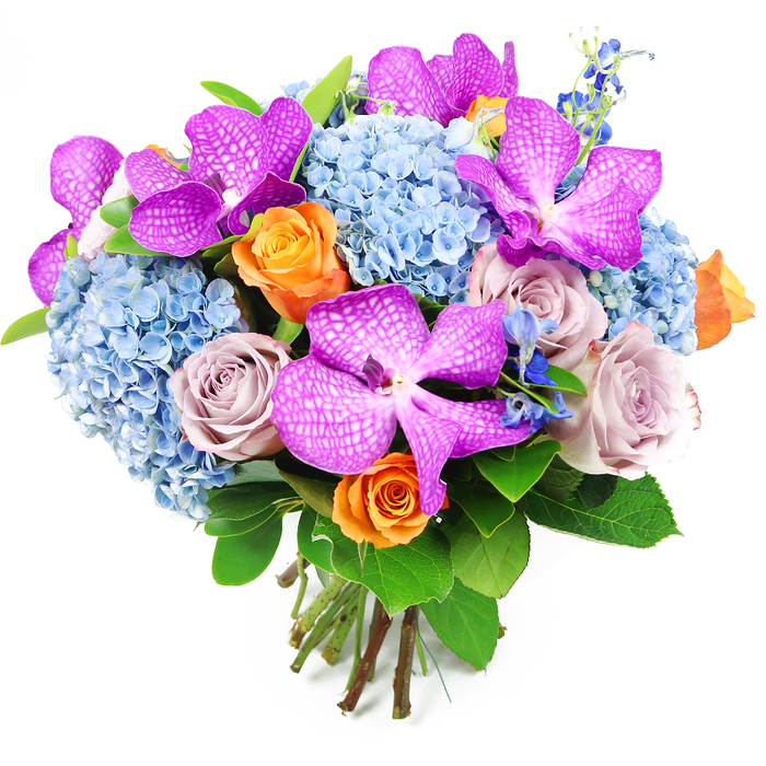 This image shows a luxurious, hand-tied bouquet posed against a bright white background, the neutral setting chosen to highlight the interplay of colours and textures created by an expert florist in Queensbury. The most striking elements are several Vanda orchids in bold shades of magenta and deep purple, their petals broad and slightly glossy, patterned with a distinctive network of white reticulation that almost resembles a checkered design. They sit proudly above and among a generous collar of powder blue hydrangeas, whose many tiny florets pack together to form voluminous, rounded heads. These hydrangeas create a soft, cloudlike foundation that contrasts beautifully with the orchids' drama, evoking the gentle skies over nearby Queensbury Park on a clear day. Nestled between these main blooms, velvety roses unfold in two complementary colour families: some are warm, peachy orange with a cheerful glow, their spiralling petals hinting at citrus fragrance and celebration; others are in muted tones of lavender-grey and dusty mauve, bringing a quieter, more romantic mood that might suit an anniversary dinner at home near Kingsbury or Canons Park. Fine, spiky stems of deeper blue accent flowers, reminiscent of delphiniums, rise here and there, punctuating the arrangement with vertical interest and cooler shadowy tones. Surrounding all of this, rich green foliage with broad, polished leaves frames the design, adding depth and a sense of botanical abundance. At the base, the cut stems are neatly gathered and bound, clearly visible and aligned in a compact, domed shape that reflects careful hand-tied technique. The bouquet appears freshly prepared, as though ready for fast delivery across Queensbury, perfect for gracing a dining table, welcoming a new home, or sending an elegant message of pride and affection.