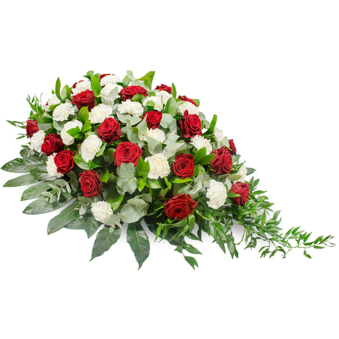 This image shows an elegant funeral spray, photographed against a crisp white background so that every petal and leaf can be clearly imagined. The arrangement lies horizontally, mounded and lush at the left, then slowly narrowing and descending into a gentle point on the right, giving the impression of a soft, flowing farewell. The main flowers are deep crimson red roses, their petals tightly curled and velvety, scattered throughout the spray like vivid notes of love and devotion. Interwoven with them are numerous pure white carnations, each head full of finely ruffled petals, creating a softer, cloud-like texture that contrasts with the smooth roses and speaks of innocence, remembrance, and peace. Beneath and around the blooms, dense greenery forms a strong foundation: broad, dark green leaves lend weight and structure, their surfaces lightly glossy in the studio light. Among them, cool silvery-green eucalyptus leaves thread through the design, introducing a muted, dusty tone and suggesting a gentle, fresh scent. Towards the right-hand side, slim tendrils of lighter green ruscus or similar trailing foliage extend outward, softening the outline and adding a sense of natural movement, as if the spray has just been laid down gently. The overall colour palette of rich red, bright white, and layered greens feels classic and solemn, perfectly suited to a funeral or memorial service for a loved one from the Queensbury area. This type of tribute would typically be placed on a casket or displayed near the front of a service at a local church or crematorium, offering a composed and heartfelt expression of condolence from family and friends.