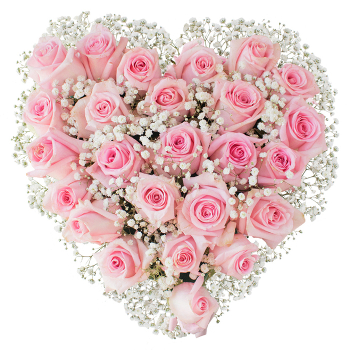 A symmetrical heart composed of soft pastel pink roses and delicate white gypsophila occupies the image, photographed against a pristine white background that spotlights every petal and tiny floral spray. Approximately two to three dozen roses appear tightly packed to form a continuous carpet of velvety blooms; the variation in bloom stage-some roses tightly furled, others partially opened-adds a living rhythm to the arrangement, so it feels lush and breathing rather than static. The pinks range from an ethereal blush at the outer petals to modestly deeper pinks towards some flower centres, producing a subtle tonal depth across the heart's surface. Scattered throughout and along the heart's contour, innumerable tiny baby's breath flowers provide a soft, cloud-like counterpoint: their white, bead-like heads create a delicate texture and a crisp visual outline that defines the heart against the white field. The photograph's clear, even lighting accentuates the sheen of each petal and the fine lacework of the gypsophila, while the absence of distracting elements keeps the focus on the bouquet's craftsmanship. This design reads as a classic expression of affection and is well suited to occasions ranging from Valentine's celebrations and anniversaries to wedding centrepieces or tender memorial gestures in the Queensbury area. A nearby recipient-on a quiet street near Queensbury station or delivered to homes around Kingsbury and the local High Road-would recognise in this heart-shaped composition a familiar, carefully made emblem of love and consolation.