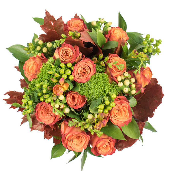 Directly above, the bouquet presents itself like a rich tapestry of fall colour and texture, each element chosen to sing in autumnal harmony. Dominant, fully opened roses in warm peach and deep orange form the visual and emotional centre; their petals unfurl in layered spirals, the tips brushed with a reddish-rust that gives each blossom a gently aged, leaf-like quality. Nestled between these larger blooms are clusters of Hypericum berries-some a luminous lime green, others a soft creamy yellow-whose small, glossy spheres catch the eye and provide lively punctuation across the composition. The unmistakable Green Trick dianthus appears as dense, velvety mounds of chartreuse, offering a mossy softness that contrasts beautifully with the roses' velour textures. Interspersed throughout are broad, lush green leaves that lend fullness and a sense of abundance, while larger, lobed leaves in deep burgundy and burnt orange recall fall foliage laid down after a stroll through local parks near Queensbury. The bouquet sits against a pristine white background beneath gentle, diffuse light that accentuates the velvety surfaces and casts mild, flattering shadows, giving the piece depth without drama. There is the suggestion of a warm, woody fragrance-a quiet blend of rose perfume and earthy green notes-perfect for a Thanksgiving table, seasonal home décor, or an autumn birthday present. Crafted with the careful layering and colour balance of an experienced florist serving Queensbury residents, this arrangement offers both elegant sophistication and a comforting, harvest-inspired charm that fits easily into homes across the neighbourhood.