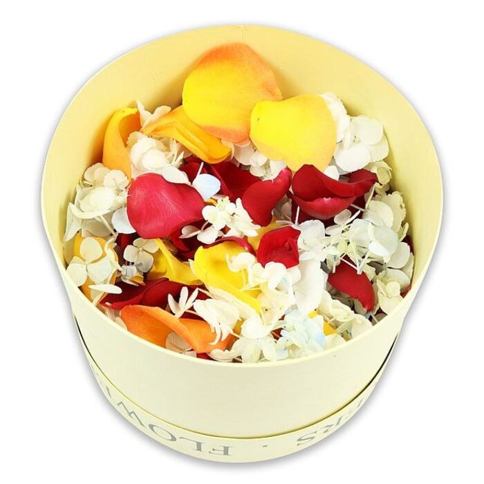 The photograph captures a minimalist yet emotionally rich scene: a pale cream, almost ivory, cylindrical box gently glowing against a pure white background, its simple shape and subtle detailing giving it the feel of a refined gift or keepsake. Around the rim, the word FLOWERS is lightly debossed, just visible enough to hint at its purpose without distracting from the contents. Inside, the box is lavishly filled with an assortment of preserved rose petals and small florets, piled high so they form a soft, undulating mound. Dominant are velvety rose petals in deep, wine-red hues that suggest devotion and remembrance, interspersed with bright, sunny yellow petals and soft peach-orange tones that bring warmth, hope, and gentle light to the composition. Threaded throughout this warm palette are countless small white blossoms, likely dried hydrangea, some with the faintest blue cast, giving the surface a delicate, cloud-like texture. Each petal and floret maintains its natural contours, faint creases, and subtle colour gradations, suggesting careful drying and professional handling, the kind of craftsmanship families in Queensbury might trust when arranging a dignified funeral tribute. The lighting is even and soft, with minimal shadow, allowing every nuance of colour and texture to be clearly seen. The overall effect is that of a luxurious, natural confetti or petal mix, ideal for scattering at a graveside, surrounding an urn, or accenting a sympathy display at a memorial service in Queensbury. It conveys a quiet balance between sorrow and celebration of life, offering a gentle, tactile way to say a final goodbye.