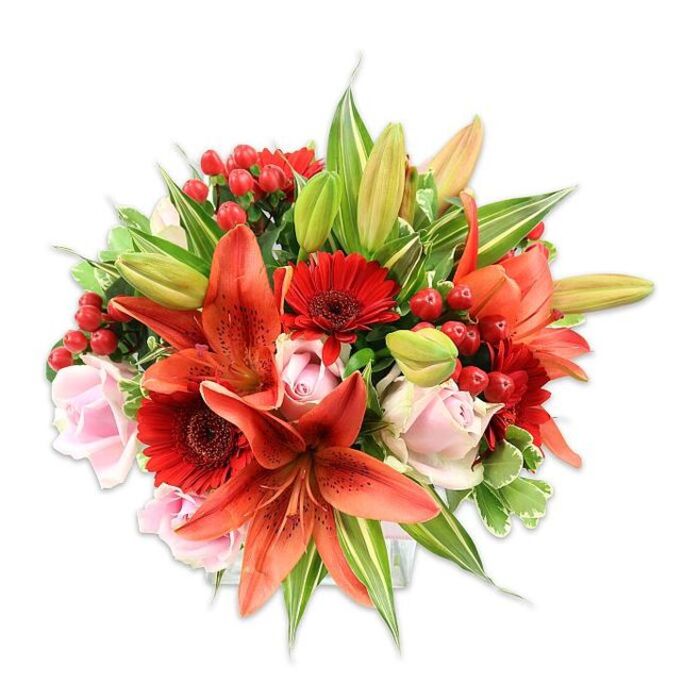Set against a pristine white background, this lush, hand-tied bouquet reveals a carefully layered arrangement of fiery tones and soft pastels that exemplify classic floral craft in Queensbury. Large orange-red Asiatic lilies form the focal heart, their broad, recurved petals flecked with darker speckles and supported by visible stamens that add fine, sculptural detail. Among these statement lilies sit vivid red Gerbera daisies, their thin, radiating petals and deeper central discs offering a strong graphic rhythm through the composition. Interwoven for contrast and tenderness are pale blush-pink roses, shown at several stages from tight, satiny buds to open, fragrant rosettes, which bring a calming, romantic cadence to the arrangement. Sprays of glossy red hypericum berries are dotted throughout like tiny red beads, introducing a festive, tactile pop that plays beautifully against the smoother flower petals. The bouquet is filled out with assorted greenery - broad smooth leaves that provide density, slender lily foliage that arches to frame the blooms, and a few variegated leaves with lighter striping that create subtle visual lift. Bathed in soft, even light, the textures - velvety roses, papery lily petals, waxy berries, crisp greens - are clearly legible and inviting. As a local touch, this design is one I craft often for deliveries around Queensbury, Kingsbury and Wembley Park, and at Flower Delivery Queensbury we find its warmth suits anniversaries, congratulations and brightening a neighbourhood home or workplace.