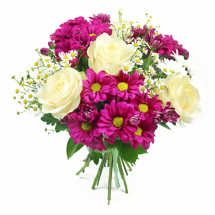 Set against a crisp, uncluttered white background, this hand-tied bouquet appears almost to glow, its colours and textures taking centre stage with no distractions. Four prominent roses in creamy white with the faintest hint of buttery yellow sit fully open, their velvety petals forming classic, spiralled cups that immediately draw the eye. Surrounding them is a generous halo of fuchsia-magenta chrysanthemums, each bloom radiating from a vivid yellow to yellow-green centre that adds a zing of brightness and brings the whole design to life. Interspersed through this rich pink tapestry are sprigs of tiny white daisies or Matricaria, each one carrying a delicate ring of white petals around a soft yellow centre, giving the bouquet an airy, garden-fresh character, as if it had just been gathered from a hidden green corner near Queensbury tube station. Subtle, darker purple-pink chrysanthemum buds are tucked between the open flowers, adding layers of tone and the sense of a bouquet that will continue to evolve over a few days in a vase. The blossoms are cradled by glossy green foliage, with the varied leaf shapes and tones deepening the contrast and creating a natural frame. All of the stems are drawn together into a clean, tidy bind at the base and wrapped with a charming green and white gingham ribbon, hinting at a thoughtful, home-spun touch from an experienced local florist. The bouquet is evenly lit, with soft shadows enhancing its rounded form and depth, making it an ideal arrangement for birthdays, thank-you gifts, or brightening a living room overlooking Queensbury's residential streets.
