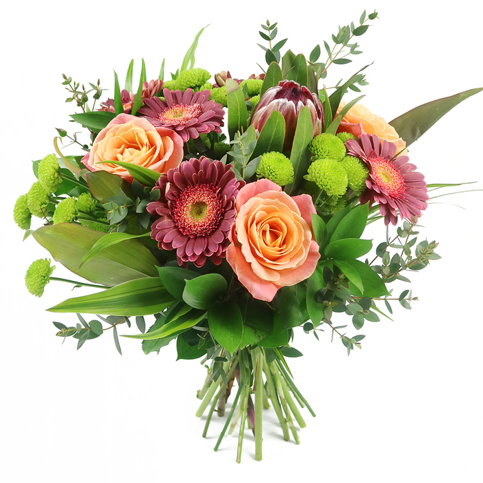 A vibrant mixed bouquet fills the frame against a clean, white background, its colours and shapes arranged with the careful eye of an experienced Queensbury florist. In the centre, generous roses in peach, apricot, and soft salmon unfurl like small sunsets, their petals velvety and layered, some blooms showing lighter outer rims that gradually deepen to a richer orange or coral hue toward the core. Threaded throughout are striking Gerbera daisies in shades of deep magenta and burgundy, their many narrow petals radiating out from textured centres that shift in tone, sometimes with a lighter inner ring that adds complexity and visual depth. Toward the upper area of the bouquet sits a commanding King Protea, instantly recognisable by its architectural, artichoke-like form and its bracts in dusky maroon, mauve-pink, and muted reddish-brown, creating an exotic focal point that contrasts beautifully with the more familiar garden blooms. Bright lime-green Santini chrysanthemums punctuate the arrangement, their neat, button-like heads densely packed with tiny petals, delivering lively pops of colour that feel almost effervescent. The entire design is embraced by a variety of greenery: broad, glossy dark leaves form a sturdy backdrop; tall, sword-shaped blades introduce height and lift; and fine sprigs of eucalyptus with round, silvery-green leaves weave through the bouquet, softening edges and adding a light, contemporary feel. The stems are gathered and tied at the base, clearly visible, indicating a freshly made, hand-tied gift ready to be carried along Queensbury Circle Parade or delivered to a celebration near Eton Grove Open Space. The impression is one of abundance, warmth, and joyful sophistication, suitable for birthdays, anniversaries, thank-you gestures, or simply brightening someone's day in and around Queensbury.