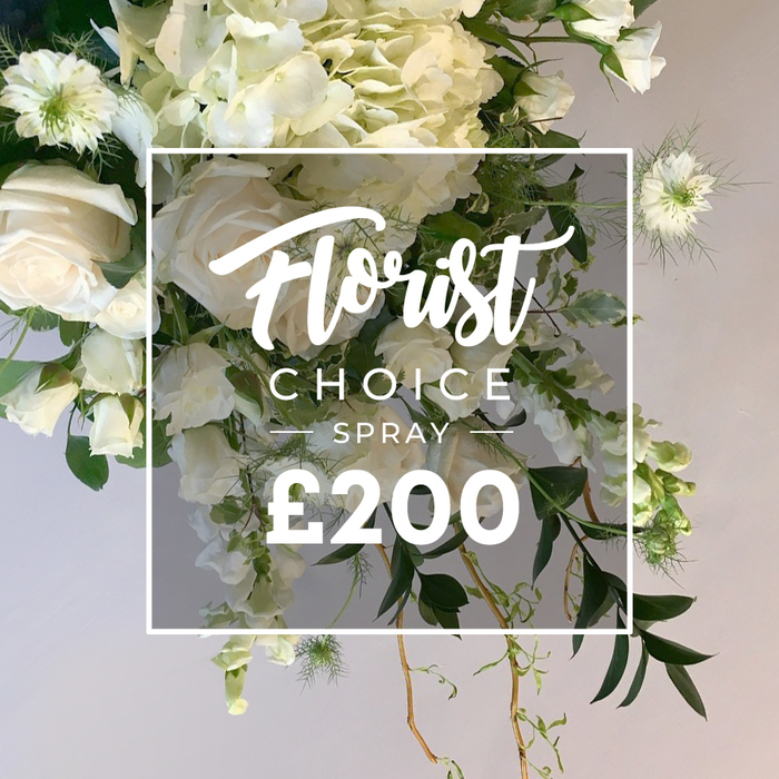 An opulent white and cream spray dominates the frame, a luxurious cascading design anchored by large cream roses opening fully and in bud, framed by voluminous hydrangeas in soft white and pale green. The bouquet spills with cascading sweet peas or similar slender blooms, their lines drawing the eye downward toward the trailing greens. Nigella flowers appear at the upper reaches, their spiked calyxes and feathery foliage adding an architectural contrast to the soft petals. The arrangement is set against a muted backdrop, with varied foliage-dark broad leaves, lighter variegated panels, and curling tendrils-that give weight and movement. Central to the image is a white square frame emblazoned with Florist Choice in a refined script, then SPRAY in bold uppercase, and at the bottom, a bold £200 figure. The composition speaks of bespoke craftsmanship and premium materials, perfect for a formal tribute, wedding reception, or high-end display. It feels created for enduring elegance, with the scent of fresh greens and the cool touch of pale petals inviting a moment of reflection. This piece would be delivered from Flower Delivery Queensbury to a doorstep in nearby Colindale or Burnt Oak, offering same-day service to those seeking a sophisticated, lasting impression of white florals.