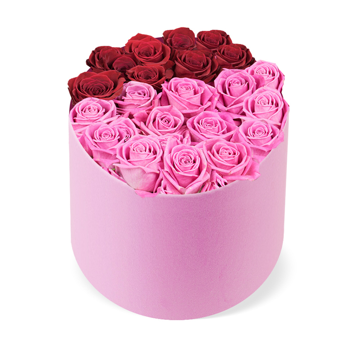This high-quality rose box is a statement of refined taste, presented by Flower Delivery Queensbury. The two-tone bouquet sits inside a soft blush-pink hatbox with a D-shaped silhouette that bows gracefully at the front while staying flat at the back. The velvet-like exterior catches light softly, lending a tactile luxury to the overall look. The lid remains unobtrusive, allowing the dense cluster of rose heads to spill just enough to create a lush top surface. The arrangement is tightly packed, yet carefully spaced so each bloom can display its own unruly charm within a disciplined form.
Across the top back portion, approximately a dozen deep crimson roses form a strong, almost ink-like line, an homage to classic romance. The majority of the composition beneath is filled with numerous bright fuchsia-pink roses, delivering a lively and modern energy that anchors the piece. Each bloom is fully opened, petals curling inwards in tight spirals, giving the surface a smooth, satin-like texture. The whites and soft pinks of the background emphasize color richness, while the box itself acts as a neutral stage for the show-stopping blooms.
Photographed from a slightly elevated angle against a clean white backdrop, the arrangement reads as a curated luxury gift suitable for Valentine's Day, anniversaries, birthdays, or Mother's Day. It works beautifully on a dining table, coffee table, or an entryway console, inviting admiration and conversation. The scent hints at rose warmth, and the overall impression is one of quiet elegance and refined celebration. In Queensbury and the surrounding NW London communities, this piece is available for same-day delivery, a dependable option for thoughtful gifting with a touch of glamour.
