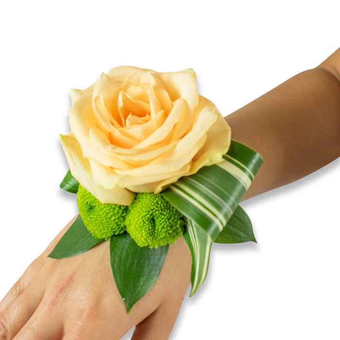 This elegant wrist corsage is showcased on the inner forearm, centred by a large, perfectly bloomed rose in a soft peach-to-light champagne hue whose petals fold in velvety layers and catch the light in warm highlights. Beneath the rose, two vivid lime-green button chrysanthemums - round, pom-pom-like and densely textured - introduce a bright, modern contrast, their tiny florets offering a playful counterpoint to the rose's smooth fullness. The arrangement is grounded by generous glossy green foliage, likely salal or ruscus, whose broad leaves create depth and a natural frame. A single variegated leaf, striped with creamy lines across deep green, is artfully curled and looped outward, producing an architectural flourish that wraps toward the wrist and adds a refined graphic element. The wristlet appears hand-assembled and wired with the fastening discreetly hidden so the flowers seem to float on the skin.

I craft pieces like this for partnerships, proms and family celebrations across Queensbury and the surrounding neighbourhoods near Wembley and Kingsbury; in soft morning light or the lantern glow of an evening reception it reads as quietly celebratory. The scent is a gentle whisper of rose softened by the green, leafy note of fresh foliage. As a working florist familiar with local halls and church venues, I design corsages to complement formal wear and moments that matter - simple, tactile, and made to be cherished.