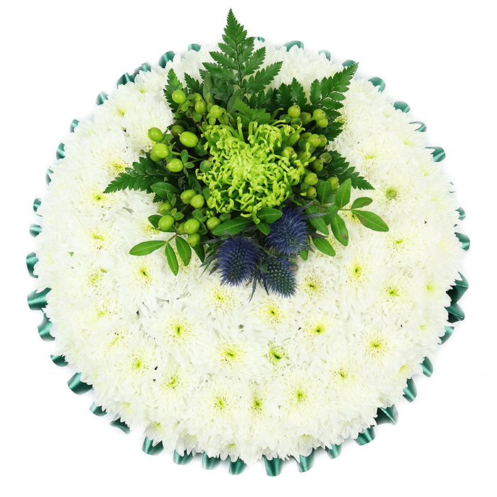 A meticulously designed circular chrysanthemum cushion fills the frame, seen from overhead as if laid gently on a table in a peaceful Queensbury home before being taken to a service. The surface is a dense tapestry of pristine white spray chrysanthemums, each blossom perfectly aligned so there are no gaps, only a seamless, quilt-like field of petals. The flowers' tiny greenish centres are just visible, creating a faint mottled effect that softens the brightness of the white. Encircling the tribute, an emerald satin ribbon has been folded into even pleats, forming a scalloped border that catches the light with a subtle sheen and neatly defines the edge of the arrangement. Slightly above the centre of the cushion, a focal arrangement in vivid greens and cool blues rises from the white base. A lime-green spider chrysanthemum, with its narrow, curling petals, acts as the heart of this cluster, surrounded by rounded hypericum berries in a bright apple-green and compact green button chrysanthemums that add playful dots of texture. Feathery fern fronds arch outward, and darker green leaves weave through the middle, giving depth and a sense of natural movement. Two distinctive Scottish thistles, their spiky heads a deep dusky indigo, stand proudly within the greenery, evoking notions of resilience and heritage that might be meaningful to families around Queensbury Circle or near the Jubilee line. The overall mood is one of calm dignity and gentle strength, a thoughtfully composed funeral tribute suitable for delivery by Flower Delivery Queensbury to local chapels and crematoria, offering comfort at a time of farewell.