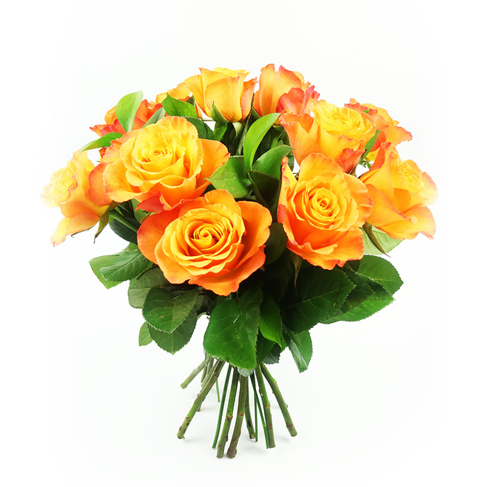 This image shows a glowing bouquet of around a dozen bi-colour roses, styled in a natural yet luxurious cluster that rests against a brilliant white backdrop. The roses form a gentle dome, their open, layered petals overlapping in a way that creates a sense of movement, almost as if a soft Queensbury breeze were passing over them. Each bloom begins with a heart of clear, sunny yellow that gradually melts into tones of apricot, mandarin, and bright pumpkin orange, with some petals carrying a faint red-orange tint along the tips, echoing the colours of a late summer sunset above the rooftops near Queensbury's residential streets. The petals have a velvety sheen, and the way they curl and unfurl adds depth and dimension, giving the bouquet a plush, inviting look. Rich green leaves weave through the arrangement, their surfaces smooth and slightly reflective, offering contrast that enhances both the warmth of the roses and the freshness of the overall design. Beneath the blooms, the stems are cut neatly and bound together, indicating a hand-tied creation ready for a vase on a dining table or desk overlooking the gardens around Queensbury Park. The lighting is bright and even, without harsh shadows, which makes the colours appear particularly vivid and the textures easy to imagine under your fingertips. This bouquet feels cheerful and uplifting, suited for birthdays, anniversaries, or spontaneous gestures of appreciation around Queensbury, and it would be equally at home welcoming guests in a hallway as it would brightening a quiet corner on a calm weekend afternoon.
