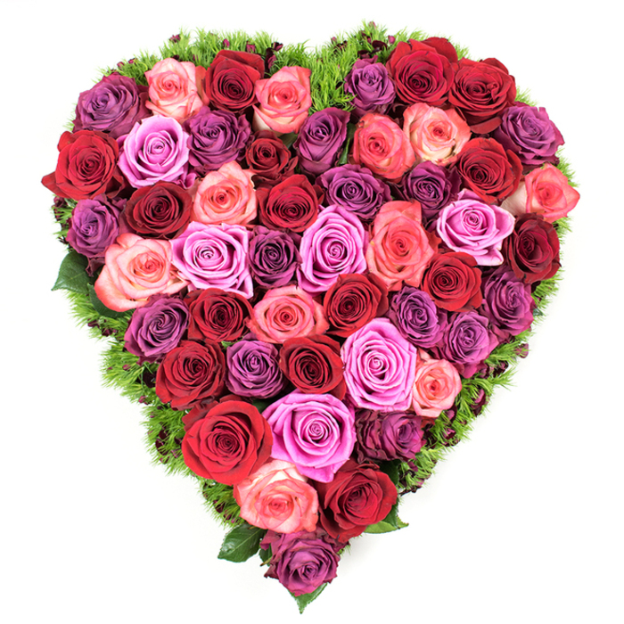 This heart-shaped floral composition, seen from above, is a meticulous, emotion-filled arrangement composed almost entirely of fully opened roses in a harmonious spectrum. The deeper notes-crimson, burgundy and rich scarlet-establish a foundation of intensity and devotion, while streaks of blush pink, coral-tinged rose and vivid fuchsia lift the mood into warmth and intimate joy. Interspersed among these are elegant purple tones ranging from pale lavender and mauve to concentrated plum, which add a reflective, almost reverent quality to the whole. Every rose head nestles closely against its neighbour so the heart's surface reads as a continuous, velvety tapestry of petals with no appreciable gaps; the textural density suggests both abundance and careful craftsmanship. Around the perimeter a slender border of fine, dark green foliage-reminiscent of maidenhair-like fronds or soft moss-provides a natural frame, defining the heart's clean outline and supplying a cool contrast to the warm floral tones. The lighting is soft and even, allowing the subtle gradations between shades to be clearly seen and the delicate spirals at each bloom's center to reveal themselves. The overall feeling is one of sincere tenderness: suitable for romantic declarations, Mother's Day celebrations, anniversaries, or as a dignified memorial piece. As a florist who knows Queensbury's quieter streets and nearby green spaces, I imagine this tribute placed on a mantel by a local family or laid beside a photograph at a remembrance service, its scent and form bringing comfort and a sense of enduring affection.