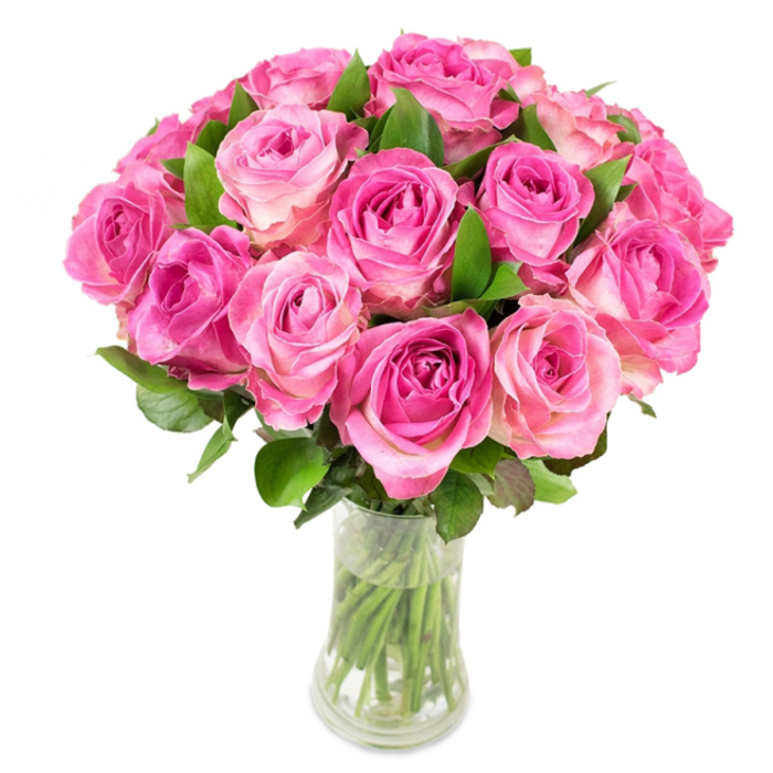 A beautifully abundant posy of approximately two dozen pink roses, each bloom at peak freshness, is gathered into a rounded, domed display and placed in a clear glass vase against a bright white background. The visual story of each rose is a study in graduated colour: concentrated magenta or fuchsia tones fold into the central spirals, then mellow gradually to soft blush pinks and, at the petal margins, whispers of creamy white. This delicate gradient gives the bouquet a living depth, as layers of petals overlap and cast soft, velvety shadows. Sprays of dark green foliage emerge between the heads, their cool tones and glossy texture anchoring the composition and accentuating the warmth of the pinks. The vase - slightly narrowed in the middle before flaring subtly at the rim and base - exposes the trimmed green stems beneath the waterline, reinforcing the sense of recent gathering and floral care. Lighting is bright and even, rendering each fold, ridge and highlight with clarity while preserving the natural softness that invites touch. The overall effect is one of tender celebration and heartfelt intent: suitable for anniversaries, birthdays, or as a gracious Mother's Day offering. As a Queensbury florist familiar with arranging for local homes and community events, I picture this bouquet upliftng a small café table on the High Street or arriving by hand to brighten an intimate family gathering, its scent and colour registering as an immediate, genuine expression of affection.