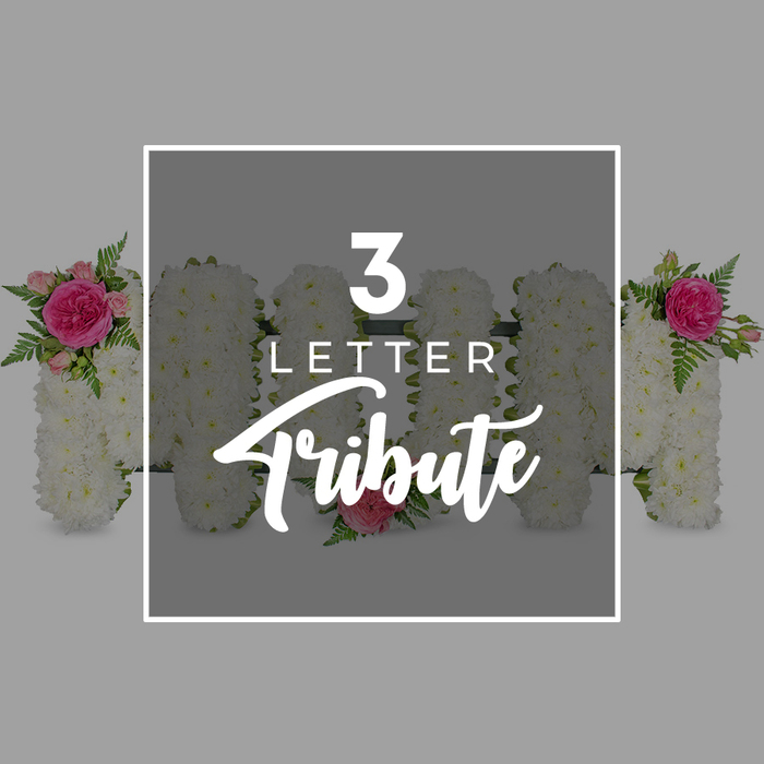 A serene, studio-style photograph shows a trio of floral letters spelling MOM, carefully arranged against a neutral grey background to illustrate a classic three-letter funeral tribute. Each letter is built on a sturdy frame and completely covered with small white chrysanthemum heads, the florist having placed each bloom tightly side by side so the surface appears smooth, cushioned, and immaculate. The white flowers catch the light softly, creating subtle shadows between petals that add depth while maintaining a sense of quiet purity, much like the stillness of a service held in one of Queensbury's local chapels. On the first M, in the upper left corner, sits a carefully composed spray of vibrant fuchsia pink roses and smaller, lighter pink rosebuds, framed by fronds of fresh green fern that curl delicately outward. The central O, a perfect circle of chrysanthemums, is minimally yet meaningfully accented at the lower edge with a single pale pink rose, suggesting a personal, heartfelt touch. The second M echoes the first, with an identical grouping of pink roses and fern set on its upper right side, giving the entire piece a harmonious, balanced look that would read clearly even from the back of a chapel or crematorium space in Queensbury or neighbouring Harrow. Around the central group, the edges of other floral letters can be seen, also crafted from white chrysanthemums with touches of pink and green, hinting at the option to spell out names or loving words. Over these letters, a white rectangular frame carries the words 3 LETTER in a bold, modern font, with Tribute written below in a graceful script, explaining the style of arrangement shown. The image gently conveys bespoke, letter-based funeral flowers designed to celebrate a mother's life with softness, colour, and respect.