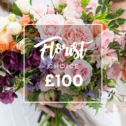 This lush, florist-selected bouquet reads like a small, scented garden held in the hands: sumptuous, multi-petalled pink garden roses command the centre, their velvety layers contrasted by concentrated clusters of deep plum hellebore-like flowers and delicate, almost translucent pale purple-and-white sweet peas. Soft peach and coral ranunculus add warm, layered texture while creamy white accents and abundant greenery - from slender trailing vines to broader, matte leaves - provide depth and an organic, hand-gathered silhouette. A crisp white rectangle is overlaid on the image, the top line in flowing script announcing "Florist Choice," with "CHOICE" in compact uppercase below and a bold "?100" prominent at the base, making the product and price immediately clear. The bouquet is gently held at the stems by visible hands against a softly blurred light-coloured garment, suggesting careful handling and fresh presentation. Lighting is soft and even, highlighting petal edges and the subtle sheen on the ranunculus while preserving the intimacy of the arrangement. Ideal for anniversaries, birth celebrations, or elegant wedding bouquets, this arrangement speaks of considered seasonality and artisan skill. Flower Delivery Queensbury prepares similar bespoke selections for same-day or scheduled delivery across Queensbury, Kingsbury and nearby Brent neighbourhoods, ensuring each arrangement arrives fresh and composed with local care.