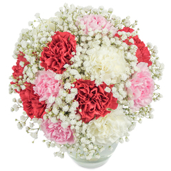 This lush bouquet embodies the warmth and tradition found throughout Queensbury, as if inspired by sunlit gatherings near Kingsbury Circle or the quiet lanes by Queensbury Station. Plump carnations in velvety crimson, powder pink, and creamy pearl hues crowd together, their layered petals unfolding with a soft, tactile allure. Wispy sprigs of snowy baby's breath weave delicately among the blooms, blurring the boundaries and letting the deep colours shine against their gentle white companions. The entire composition forms an almost sphere-like fullness, inviting your gaze as you might pause in a neighbours' garden in spring. Resting in a crystal-clear, rounded glass vase, each stem is visible and neatly arrayed, reinforcing the honesty and craft of a local florist's hand. The overhead lighting enhances the freshness of every bloom, intensifying the bouquet's vitality and whispering of fresh beginnings. This arrangement radiates tender sentiment-its elegant, harmonious mix ideal for conveying appreciation, marking a milestone, or offering comfort across Queensbury and its welcoming streets. The bouquet channels both the exuberance and gentle grace of local celebrations, making it an exquisite gift for birthdays, anniversaries, or just to say 'you matter' with sincere, heartfelt beauty.