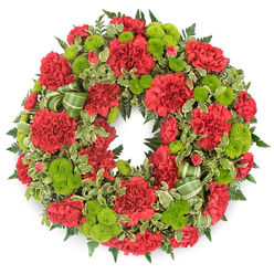 Against a crisp, gallery-white backdrop, a traditional circular funeral wreath seems to float, its ring completely filled with flowers in a rich dialogue of crimson and fresh lime green. The dominant blooms are red carnations, their frilled, many-layered petals creating a soft, almost cloud-like surface that follows the curve of the wreath without any obvious gaps. Nestled between these are small, perfectly rounded lime green button chrysanthemums, each one like a tiny sphere of colour, their minuscule petals packed tightly to form a smooth dome that contrasts beautifully with the textured carnations. The flowers are supported by a lush bed of greenery: deep green fern fronds fan out delicately to frame the wreath, while sprigs of variegated pittosporum, mottled with creamy edges, peek through and lend a gentle lightness to the foliage. On one lower section, a graceful looped bow made from green striped ribbon is tucked naturally among the leaves, its alternating light and dark green bands mirroring the playful vibrancy of the button mums. The arrangement feels balanced and calm, the colours strong but not harsh, evoking affection, remembrance, and a quiet dignity. You can imagine this handcrafted wreath being prepared by a Queensbury florist for delivery to a local chapel or cemetery, perhaps for a service just off Honeypot Lane or near the parks and quiet avenues that define the neighbourhood. The lighting is even, with no dramatic shadows, allowing the eye-or a guiding voice-to pick out each folded petal and the subtle variations in red and green. This is very clearly a sympathy tribute, made to honour a loved one's life with both warmth and respect.
