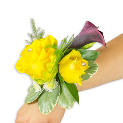 Arranged with the care of a neighbourhood florist, this wrist corsage reads like a small story of contrast and celebration when viewed against a crisp white background. Two luminous yellow roses anchor the piece; the left blooms wide and generous, the right curled more intimately-a pairing that feels like laughter and a quiet smile together. Clear crystal studs are tucked near each heart, picking up the light in tiny flashes that animate the petals with a jewellery-like glint. Behind them, a single dark purple, almost-black cherry calla lily unfurls upwards, its sleek trumpet shape and velvety surface offering a rich, evening note against the sunlit optimism of the roses. Textural interplay comes from the greenery: broad variegated leaves with pale edges form a calm, glossy base while delicate asparagus fern trails add soft, feathery movement. Dotted among the green are clusters of petite white filler blooms-miniature stars that give depth and a whisper of vintage charm. The arrangement sits diagonally from the wearer's lower-left wrist toward the centre-right, the band discreet and mostly hidden so the flowers remain the focus. This corsage carries the scent of fresh roses, the coolness of waxy leaves, and a poised energy that suits weddings, proms, or an honored guest stepping quietly into the spotlight, perfect for someone seeking both warmth and a refined, dramatic accent.