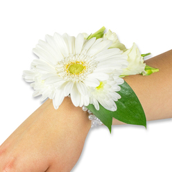 A beautifully composed white floral corsage is displayed along a fair forearm against a stark white background, the simplicity of the setting bringing every floral detail into focus. At its heart sits a broad white Gerbera daisy, petals layered like fine silk around a bright yellow-green centre that shows subtle texture beneath the light. Supporting the Gerbera are clusters of small, cushiony white chrysanthemum-like sprays and creamy lisianthus buds and half-open flowers, their soft curves creating a gentle, multi-dimensional silhouette. Lush, deep green ruscus and salal leaves sweep beneath and around the blooms, their glossy surfaces and defined veins forming a natural frame that balances the arrangement. The blooms are fastened to the wrist with a graceful band of multiple white pearl strands; the pearls gleam softly and add a tactile, heirloom quality. The studio light skims across petals and beads, making the whites read as pure and cool, while the green centres and foliage bring a fresh, grassy note you can almost smell. As a local Queensbury florist might say, this corsage is intended for moments that matter-weddings, proms, or milestone graduations-and is crafted with the same care we bring to orders collected from Queensbury High Street or placed for delivery to nearby streets. Hand-wired stems, neatly hidden mechanics, and thoughtfully chosen foliage make it comfortable to wear and guaranteed to photograph beautifully under wedding lights or celebratory sunshine in the local park.