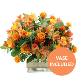Displayed against a spotless white background, this exuberant bouquet feels like a pocket of sunshine captured in flowers, the kind of arrangement you might imagine being delivered to a home off Church Lane on a bright Queensbury morning. Full-headed orange roses form the core, their petals layered and velvety, with subtle shifts from tangerine to coppery amber that suggest both warmth and elegance. Nestled among them, clusters of yellow and peach alstroemeria bring a lighter, more playful note; their trumpet-shaped blooms open outward, each petal delicately streaked and freckled in soft reddish tones that reward a closer look. Interspersed throughout are striking, small, globe-shaped orange accent flowers, spiky and expressive, adding a sense of movement and texture, like the lively hum of people coming and going from Queensbury Station. Draping around and behind the flowers, eucalyptus in muted blue-green and other rich foliage create a lush, verdant base, their rounded and elongated leaves overlapping to frame the bouquet in cool greenery. The entire composition is gathered neatly into a clear, square glass vase, where the clean geometry contrasts beautifully with the organic shapes of the blooms. A band of natural burlap is wrapped around the vase's centre, its woven fibres catching the light and giving a handcrafted, homely feel that would suit both a modern flat near Charlton Road and a more traditional family home. In the lower right corner, an orange circular graphic with sharp white lettering reads VASE INCLUDED, making it clear that the container is part of the gift. The lighting is bright and even, with no harsh shadows, so every petal, leaf, and texture is visible, conveying a sense of abundant freshness and quiet celebration that works beautifully for birthdays, congratulations, or simple pick-me-up deliveries around Queensbury.
