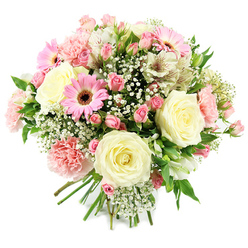 Set against a pure white backdrop, this round, hand-tied bouquet feels like a soft embrace captured in flowers. Several generous cream and ivory roses form the focal points, each bloom fully opened to reveal layers of silky petals curling outward in elegant symmetry. Between them, light pink spray roses weave in and out, some still in bud and others just opening, giving the design a tender, evolving quality, as though the bouquet is mid-blossom. Pops of vibrant pink gerbera daisies, instantly recognisable by their ray-like petals and dark, textured centres, add a joyful rhythm, breaking up the softer tones with a hint of playful energy. Pale pink carnations nestle throughout, their frilled, ruffled blossoms creating a gentle cushion of texture that feels both nostalgic and comforting, like flowers from a well-loved Queensbury back garden. Slender white alstroemeria stems bring an airy elegance, their inner petals brushed with fine reddish lines that reward a closer look. Threaded all around are clouds of white gypsophila, tiny star-shaped flowers that fill the spaces with a light, dreamy haze. Fresh green leaves and stems peek from the base and through the blooms, grounding the pastel palette with natural vibrancy. The stems are gathered neatly, suggesting the skilled hands of a local florist preparing the bouquet for delivery across Queensbury and nearby streets like Church Lane and Kenton Road. The mood is gentle and hopeful, ideal for welcoming a new baby, sending quiet congratulations, or simply brightening a home with a romantic, pastel arrangement.