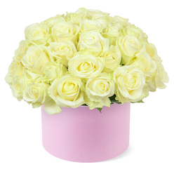 A luxurious round hat box brims with dozens of creamy white and pale ivory roses, creating a rich, domed bouquet that fills the entire frame and draws the eye straight to its lush abundance. Each rose is meticulously placed, petals layered in perfect spirals, some blooms just beginning to unfurl at the edges while others are fully open, revealing a soft blush of pastel yellow deep in their centres. The petals appear velvety and thick, with a gentle sheen that suggests both freshness and careful conditioning in the florist's studio. Between the clustered blooms, the faintest touch of green foliage peeks out, adding depth and a hint of garden freshness without breaking the smooth, cloud-like effect of the rose canopy. The flowers overflow the rim of a cylindrical hat box in a delicate pastel pink, its matte finish giving the impression of fine velvet or premium paper, the sort used for special occasion gifts. Set against a bright white background, the subtle shades of cream, ivory, and blush pink stand out clearly, evoking softness, romance, and quiet luxury. It is easy to imagine this arrangement being delivered to a home near Queensbury Park or to a cosy flat off Church Lane, perhaps as an anniversary surprise or a tender thank-you. The composition feels both contemporary and timeless, a modern box presentation paired with the enduring beauty of classic roses, reflecting the kind of polished yet heartfelt floral design that local Queensbury florists create for cherished celebrations and intimate moments alike.