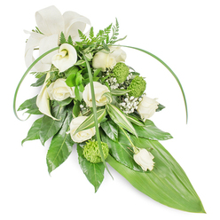 A long, graceful sympathy spray in soft whites and verdant greens, artfully photographed on a crisp white background to highlight texture and form. At its heart, creamy white roses-some just opening, others fully unfurled-create a gentle, layered center whose petals suggest the soft fragrance of a well-tended garden. Paired near the top left are elegant white calla lilies with their trumpet-shaped trumpets, offering sculptural purity and a quiet focal point. Accenting the whites are vivid, lime-green button chrysanthemums-dense, rounded, and textural-whose lively color enlivens the sober palette without overwhelming it. Fine sprays of baby's breath drift through the arrangement like sighs, lending air and delicate contrast to the bolder blooms. The greenery is thoughtfully varied: glossy deep-green leaves form a strong base, variegated foliage adds subtle patterning, and airy fern fronds soften the upper profile. Two long, arching blades of bright green foliage sweep across the surface, introducing a contemporary curve, while the composition narrows down to a broad, smooth tropical leaf that shapes the elongated tail. A soft cream ribbon bow at the top left provides a comforting, traditional touch. As a local Queensbury florist I arrange pieces like this for funerals at nearby churches and services around Queensbury Station; Flower Delivery Queensbury prepares each spray with seasonal freshness and considerate styling, appropriate for memorials and condolence gestures within the community.