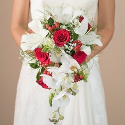 This stunning cascading bridal bouquet, photographed in a gentle wash of daylight, captures the heart of celebration in Queensbury. Held attentively by a bride in a crisp lace-detailed white gown, the composition draws the eye first to gleaming white oriental lilies-each bloom radiant and stately, infusing the arrangement with purity and grandeur. Mixed artfully throughout are lush, velvety red roses, their classic spirals rich with emotion, signifying lasting love and devotion on this most special of days. Flowing from the bouquet's edges, multiple white phalaenopsis orchids trail with elegant grace, their slender stems and golden centers lending a sense of movement reminiscent of quiet paths in nearby Canons Park. Between the bold focal flowers, clusters of tiny baby's breath and bright scarlet hypericum berries add texture and bursts of colour, echoing the vibrant pulse of Queensbury's local Flora Market. Soft, feathery greenery-possibly asparagus fern-creates an airy backdrop, offset by structured dark green leaves and unique, spiky accents interspersed throughout. Against the neutral tan background, the effect is one of understated opulence, perfect for a couple celebrating their union anywhere from Eton Grove Open Space to the heart of Queensbury. This arrangement is ideal for brides seeking a bouquet as timeless and welcoming as their local community, thoughtfully designed for both beauty and joyful memory.