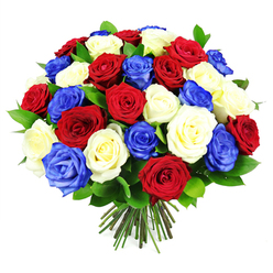 A full, rounded bouquet of roses in vivid red, creamy white, and striking royal blue fills the frame, creating a harmonious, patriotic display that feels both luxurious and composed. The roses are packed closely together into a near-perfect sphere, each bloom carefully angled so that its velvety petals catch the light and show off subtle variations in tone. The red roses glow with a rich, wine-like depth, while the white roses soften the arrangement with their calm, milky hue, their petal edges curling gently outward. The blue roses, coloured in a strong sapphire shade, introduce a modern, almost regal note, making the trio of colours immediately suggestive of national pride and remembrance. Tucked between the blossoms, dark green foliage with a gentle sheen adds shadows and contrast, giving the bouquet a sense of movement and dimension. The stems at the bottom are neatly gathered and trimmed to an even length, hinting at the skilled hands that have shaped this design, much like the professional work seen in Queensbury florists preparing arrangements for local events and home deliveries. Set against a bright white background, every petal stands out clearly, with no distractions from the rounded form. The bouquet feels perfect for honouring service and sacrifice at a memorial near Kingsbury Circle, celebrating an important anniversary at home, or simply bringing a refined burst of colour to a living room overlooking Queensbury's leafy streets. Its mood is dignified yet hopeful, like a quiet celebration captured in flowers.