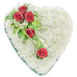 Elegant heart-shaped funeral flowers photographed on a bright white backdrop, allowing the design to stand out as a serene symbol of love and farewell. The heart itself is completely filled with dozens upon dozens of small-headed white chrysanthemums, forming a dense, cushion-like surface that looks soft to the touch, almost like freshly fallen snow. Their uniform petals create a gentle, calming texture that feels appropriate for a moment of quiet reflection. Resting on the upper left curve of the heart is a carefully arranged cluster of three deep red roses, their velvety petals forming perfect spirals of colour. Around them, a mix of glossy green leaves, airy fern-like foliage, and tiny white filler blooms adds depth and a natural, garden-style feel, reminiscent of walking through one of the peaceful green spaces around Queensbury. Two more single red roses are placed further down and slightly right, linked visually to the main cluster by arching strands of vivid green decorative grass, which sweep in an elegant line across the white chrysanthemum base. Every curve of foliage seems intentional, gently guiding the gaze across the shape of the heart. A narrow forest green satin ribbon traces the perimeter, its smooth shine creating a crisp, defined edge to the tribute. This classic red and white memorial heart would be a dignified choice for sending condolences to a funeral home or family home in Queensbury, expressing deep affection, respect, and the hope of lasting peace for the person being remembered.