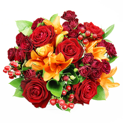 Captured in a top-down studio view against a seamless white backdrop, this densely packed bouquet is a study in rich, autumnal romance from a Queensbury perspective. Several large, fully bloomed deep red roses form the visual centre, their velvety petals curving outward to create classic, romantic focal points. Interlaced among them are clusters of deep burgundy spray roses whose smaller heads and tight petals build layers of shadow and luxury, while bright orange Asiatic lilies introduce bold trumpet shapes and energetic colour-some blooms thrown wide to show dark-flecked throats and prominent stamens, others still in elegant, elongating buds. Scattered throughout, glossy hypericum berries catch the studio light and add bright, tactile pops that break up the petals' soft surfaces. Lush green foliage-broad ruscus or salal leaves-frames the flowers and gives the bouquet breathing space, the greens offsetting the warmth of the reds and oranges. The arrangement has been balanced to feel both full and sculpted, a hand-tied circle that reads beautifully from above and holds scent as well as structure: warm rose perfume threaded with a lily's citrusy spice. As a local floral designer who knows Queensbury streets around the station and the weekend market, I imagine this bouquet arriving on a doorstep in soft morning light, perfect for birthdays, thank-you gifts, or intimate celebrations. Flower Delivery Queensbury can prepare and send this composition for same-day delivery across Queensbury, Kingsbury, and nearby Wembley for occasions that call for bold warmth and thoughtful craft.