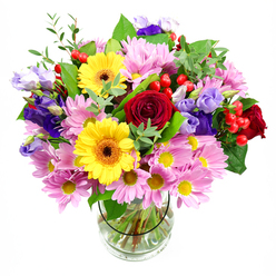 A tall, exuberant bouquet rises from a clear glass vase, captured against a crisp white background so every colour and petal detail stands out clearly, much like a shop-window display on a bright morning in Queensbury. Deep red roses form the emotional heart of the arrangement, their plush, layered petals spiralling inward and giving a sense of timeless affection. Nestled alongside, bold yellow gerbera daisies with dark, warm centres radiate cheerful energy, echoing the glow of late afternoon sun along Honeypot Lane. Soft pink and lilac daisies or chrysanthemums spread outward, their many slim petals and tiny yellow centres creating a halo of softness that makes the bouquet feel full and embracing. Interwoven with these are graceful stems of lisianthus in shades of purple and lavender, shaped like delicate bells with slightly curled edges, adding cool elegance and a hint of formality. Between the blooms, smooth red Hypericum berries cluster in small groups, catching the light like tiny jewels and lending a modern touch. A variety of greenery, from rich, dark leaves to lighter, airy sprigs, gives structure and movement, suggesting the gentle sway of flowers in a garden breeze. Through the clear vase, the cleanly cut stems are visible, carefully arranged in clear water, a quiet testament to the florist's skill and attention. The bouquet feels perfect for marking milestones-a promotion, a new home in the Queensbury area, or a heartfelt thank-you-bringing colour, fragrance, and a sense of celebration into any local living room or office.
