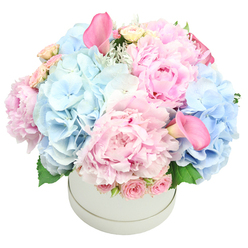 This bouquet glows with a calm, hopeful light, as if the morning itself offered a quiet blessing. The hydrangea clusters sit like soft, clouded puffs, while the peonies unfurl their many delicate petals with velvet richness, catching the viewer with a subtle gleam. A few pale spray roses tuck through the arrangement, and two blush calla lilies stand tall, their sculpted forms lending a touch of refined drama. The blooms are gathered in a smooth, understated cylinder, the glass letting the colours breathe and the stems align in serene balance. Running your fingers along the petals, you'd feel the peonies' velvet softness against the satin shine of the calla lilies, a tactile contrast that heightens the sense of luxury. The scent is gentle and clean-a romantic note that would suit a birthday, a new baby, or a thoughtful gesture for someone in Queensbury. For a local florist who knows the neighbourhood, this piece speaks of home: the way morning light spills across a kitchen table, the hush before a celebration, the quiet joy of a small triumph. It is crafted with care, every bloom chosen to harmonise and placed with restraint so the arrangement feels both comforting and uplifting. Ready for delivery across Queensbury and the surrounding NW London streets, it offers effortless elegance that enhances contemporary interiors and everyday living.