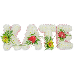 The image presents an elegant floral name tribute spelling KATE, laid out in a neat line so each capital letter is clear and distinct against a bright white background. Every letter is constructed from tightly packed white chrysanthemums, their many-layered petals forming a soft, pillowy surface that feels both pure and comforting, like a cloud of flowers shaped with love. Around the contours of each letter runs a pale pink satin ribbon, gently ruffled and folded, which frames the design with a delicate, almost bridal softness. Within this white and pink framework, brighter accent flowers bring focus and meaning: yellow-green cymbidium orchids with speckled reddish throats rest on the left side of the K and near the base of the T, their tropical poise adding a sense of quiet strength. On the A and E, polished heart-shaped red anthuriums stand out, each bloom with its prominent central spadix symbolising deep affection and a courageous goodbye. Lush greenery surrounds and supports these blossoms, with glossy dark leaves and fine feathery fronds giving structure and a natural, garden-like feel. Thin, flexible green stems trail and loop across the letters, visually tying them together as though they are gently held by a single living vine. The overall effect is dignified yet tender, perfect for a funeral or celebration of life in Queensbury, where families might wish to see a loved one's name expressed in flowers at a local chapel, cemetery, or crematorium. It reflects the craftsmanship of a neighbourhood florist who understands how to blend beauty and emotion into a meaningful farewell.