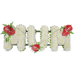 This heartfelt memorial piece spells out MUM in clear, sculptural capital letters, each formed entirely from hundreds of tightly clustered white spray chrysanthemums. The dense white surface reads as a soft, cloud-like cushion, its tiny blooms selected for fullness and a peaceful, matte whiteness that conveys purity and reverence. A discreet dark green framework lines the inner edges of each letter, visible only where the chrysanthemum mass tapers, providing a graceful contrast and the freestanding support the tribute requires. Three vivid red anthuriums provide bold focal points - glossy, heart-shaped and tropical in feel - with their pale yellow-white spadices creating a delicate visual centre. You will find one anthurium on the upper left curve of the first M, another settled at the base curve of the U, and the third adorning the upper right curve of the final M. Each red bloom is cradled by varied deep-green foliage: soft fern fronds, broader leaves and slender arching stems that bridge the letters and unify the design. In soft daylight the white chrysanthemums glow gently while the anthuriums' smooth surfaces catch a warm sheen, creating a composition of solemn beauty and enduring affection. Prepared by local hands with care for families in Queensbury and the surrounding streets near Queensbury Station and The Broadway, this classic sympathy tribute speaks of love, memory and respect at services, wakes and graveside gatherings and is readily arranged by Flower Delivery Queensbury for the local community.