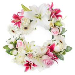 Set against a clean white backdrop, this open circular sympathy wreath has the calm, composed beauty of a floral tribute you might see arriving at a quiet service in Queensbury. The ring is densely woven with large, snow-white lilies that tilt their wide, star-like petals outward, their golden stamens and pale green centers adding gentle detail rather than drama. Between them, deep magenta and fuchsia lilies introduce a richer note of colour, their speckled petals and elegant shape giving the wreath a sense of depth and personality while still remaining respectfully understated. Soft pink roses, some only just beginning to open, are tucked carefully among the larger blooms, their delicate petals expressing affection, gratitude, and a softer kind of grief. Creamy white roses, more fully open, bring a classic funeral elegance, their layered, ruffled centers reminiscent of vintage garden roses. White gerbera daisies with dark, defined centers look like small suns scattered through the design, adding brightness and a feeling of gentle warmth. Smaller white blossoms-likely spray carnations or chrysanthemums-fill the spaces, ensuring the circle feels plush, complete, and thoughtfully finished. All of this is supported by lush green foliage, leaves layered and angled to create a three-dimensional effect so the wreath seems to rest lightly on the background rather than lying flat. The open center and unbroken circular form evoke eternity and the continuity of love. It is the kind of carefully balanced memorial arrangement a Queensbury family might choose for a funeral at a local chapel or crematorium, or for same-day delivery to a home off Church Lane to express quiet condolences.