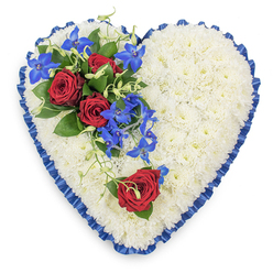 A generous, heart-shaped sympathy tribute dominates the frame, photographed from above so every detail of the floristry can be appreciated. The entire interior of the heart is densely paved with pristine white chrysanthemum heads, their short, fine petals overlapping like soft feathers to form a flawless, cloud-like surface. This pure white field acts as a quiet backdrop for the more intense colours layered on top. Encasing the heart is a sumptuous border of royal blue satin ribbon, pleated and ruffled by hand so that each fold forms a tiny wave of sheen. The ribbon's deep blue hue outlines the curves of the heart clearly, giving it a formal, almost ceremonial presence that would feel at home at a service in Queensbury or along nearby Honeypot Lane. On the upper left side sits a beautifully structured spray: three deep red roses opened to their full, generous centres, their velvety petals rich and saturated, are surrounded by glossy dark foliage. From within and below this cluster, electric blue dendrobium orchids twist and cascade, their exotic, star-shaped petals glowing with vivid blue and teal tones that stand out against the white mums beneath. Fine, light green curly tendrils wind among the orchids, introducing a natural, slightly playful texture that keeps the whole piece feeling alive and organic. A single red rose, placed lower on the right curve, mirrors the passion of the larger grouping yet feels intimate, almost like a final whispered goodbye. The composition balances colour, texture, and emotion with the assurance of an experienced local florist, creating a memorial heart that conveys sympathy, lasting love, and a peaceful farewell for a Queensbury family saying their last goodbyes.