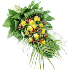 A graceful funeral spray of yellow roses and red berries is laid out on a pure white background, its elongated form tapering from a fuller head at the upper left to a softer point at the lower right. The eye is first drawn to the vibrant yellow roses, around fifteen or more, each bloom captured in a different moment of opening: some still rounded and shy, others revealing their full rosettes of plush, layered petals. Their sunny, golden colour carries a message of friendship, gratitude, and hope, a comforting presence during difficult goodbyes. Nestled between the roses are generous clusters of bright red Hypericum berries, smooth and rounded like tiny polished beads, their deep crimson tones adding a rich contrast and a sense of depth to the design. Surrounding and supporting the flowers is an abundance of greenery. At the top and central area, broad, dark green leaves are wrapped and folded over one another, creating a structured, almost architectural base, as neat and considered as a well-kept Queensbury garden along Honeypot Lane. From the lower right corner, long palm-style fronds sweep outward with elegant, feathery lines, their fine leaflets stretching into the white space and giving the whole spray a sense of gentle movement. The stems are bound tidily at the top left, revealing the precision of a skilled florist. Bathed in clear, even light, every texture-from the velvety rose petals to the waxy berries and satin-finish leaves-is visible, making this arrangement an ideal tribute for local funerals and memorials around Queensbury, where families seek both solace and a quiet touch of beauty.