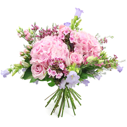 Against a crisp white backdrop, a luxurious bouquet of pink hydrangeas and roses seems to float, its colours echoing the gentle charm of Queensbury's quiet side streets. At the centre, two large, dome-shaped clusters of soft blush hydrangea draw the eye, each comprised of hundreds of tiny petals that create a fluffy, cloud-like surface. Threaded between them are light pink roses in various stages of bloom, from tightly furled buds to fully open flowers revealing their intricate spiral hearts, introducing an elegant, romantic rhythm. Rising above and between the larger blooms are graceful bell-shaped flowers in muted lavender and pale purple tones, reminiscent of campanula, their delicate, nodding heads adding movement and height. Small sprays of deeper fuchsia and bright pink filler flowers, like miniature stars, are scattered throughout, bringing a lively contrast and enhancing the sense of abundance. The bouquet is framed with fresh green leaves and slender budding stems, enhancing the impression of something freshly gathered and expertly arranged in a local Queensbury flower shop. The stems are tied together at the base in a classic hand-tied style, ready to be placed into a favourite vase on a windowsill overlooking Kingsbury Circle or a cosy living room near Queensbury Station. The overall mood is joyful yet refined, with soft, romantic tones and a hint of spring or early summer, perfect for celebrating milestones, offering congratulations, or sending a thoughtful, uplifting gesture across Queensbury with same-day flower delivery.
