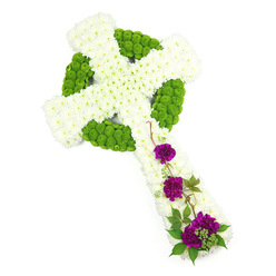 A refined Celtic cross floral arrangement is shown against a clean, bright white backdrop, so that every flower and curve in the design seems to glow. The body of the cross is composed of densely packed white chrysanthemums, each small bloom carefully aligned to create a plush, cushion-like surface that softens the strong outlines of the cross. Running through this snowy base is the distinctive Celtic motif, drawn in vivid lime-green button chrysanthemums that define the circular halo and interwoven knotwork. These compact green blooms add vibrant colour and sculpted texture, making the ring and arms feel almost carved from living plant material. Along the lower length of the cross, three gatherings of deep purple-magenta carnations introduce a note of reverent richness, their layered petals and velvety tone suggesting quiet depth of feeling. Slim stems of leafy green foliage and a few delicate, twig-like tendrils arc and coil gently around the carnations, partly trailing across the white flowers as if nature itself were embracing the tribute. The lighting is even and soft, highlighting subtleties in petal shape and the interplay of white, green, and purple without casting harsh shadows. The overall mood is calm and contemplative, ideally suited to a funeral or memorial service for a family in Queensbury who wish to reflect both faith and heritage. This type of floral cross might be chosen for a service near Kingsbury or along Honeypot Lane, its fresh, living beauty offering comfort as it rests by the casket or at the front of the chapel, a quietly powerful symbol of remembrance and hope.