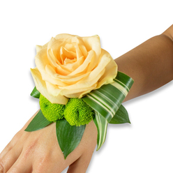 A refined wrist corsage sits against warm, light to medium brown skin, the arrangement centred by a large, creamy apricot rose whose layers of petals form a soft, luminous cup. The rose's surface has a satiny sheen and a gentle, sweet scent that suggests early-morning blooms; its petals fold into one another with the practiced symmetry of a florist's favorite flower. Adjacent, almost playfully tucked beneath the bloom, are two lime-green button chrysanthemums - compact, round pom-poms whose textured faces contrast the rose with a lively, springy energy. Rich dark-green leaves, possibly salal or ruscus, cradle the flowers and provide a verdant backdrop, while a variegated stripy leaf, artfully folded and curled, traces an elegant arc along the wrist, offering a contemporary graphic accent and subtle movement. The corsage is secured invisibly so the composition appears seamless and wearable.

Made for ceremonies, proms or intimate gatherings in Queensbury, near the Tube and local high streets, this wristlet balances classic romance with a modern edge. As a local florist arranging for families and couples around Queensbury, Kenton and Harrow, I think of how light moves in Queensbury's streets and how a small floral piece like this will hold memory - it's available from Flower Delivery Queensbury and can be prepared with care for pickup or local delivery via flowerdeliveryqueensbury.live, arriving smelling of fresh rose and green leaves.