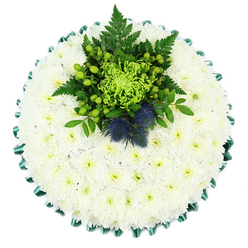 From directly above, a round funeral tribute appears like a calm white island of flowers, perfectly formed and resting against a plain white background. Hundreds of small, spray chrysanthemum blooms are packed closely together, their petals layered in soft concentric circles so that the cushion looks almost velvety to the touch. Each flower has a tiny pale green centre, giving a gentle glow beneath the pure white. Around the edge, a folded emerald green satin ribbon runs in even scallops, adding a refined frame that feels as carefully considered as a well-kept memorial stone in one of Queensbury's quiet residential streets. The eye is drawn to a central cluster that breaks the white with fresh, living colour: a bold lime-green spider chrysanthemum opens in spiky, firework-like petals, radiating outwards. Surrounding it, round green Hypericum berries and compact button chrysanthemums nestle among deep green fern fronds and leaves, creating layers of texture and movement. Set within this cluster, two steel-blue Scottish thistles rise proudly, their spiny globes and narrow bracts introducing a cool, noble blue that hints at Scottish roots or personal symbolism. The overall effect is of serenity, balance, and thoughtful detail, like something quietly placed at a chapel in nearby Edgware or along Church Lane. Created by an experienced Queensbury florist, this circular chrysanthemum cushion serves as a respectful condolence gesture or funeral tribute, offering a tranquil blend of purity in white, renewal in green, and strength in blue for families saying goodbye.